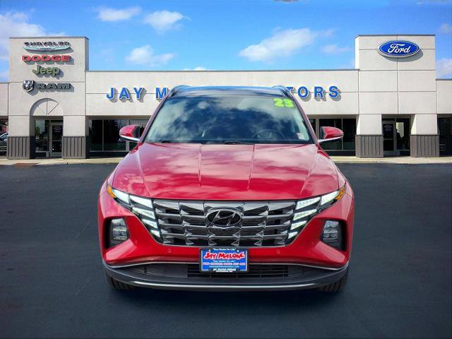 Used 2023 Hyundai Tucson Limited image 7