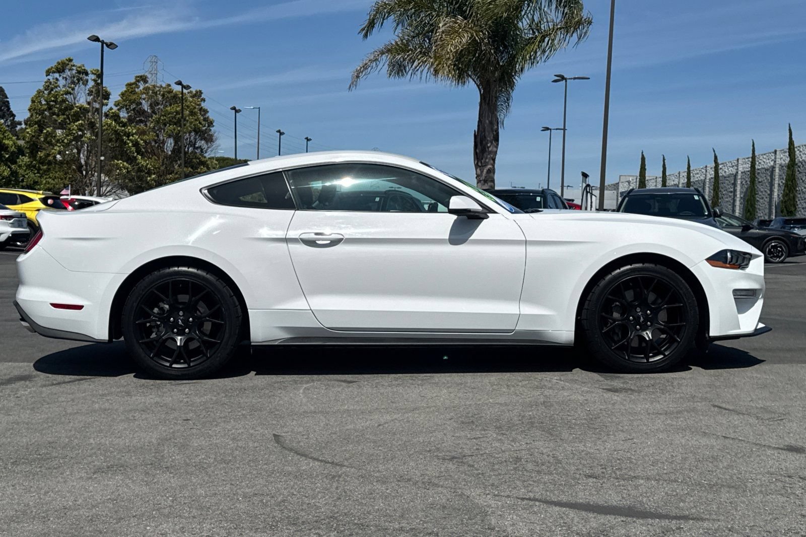 Certified 2018 Ford Mustang Premium w/ Ecoboost Performance Package RWD image 4