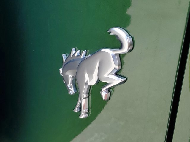 Certified 2024 Ford Bronco Black Diamond w/ Sasquatch Package image 11