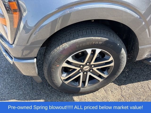 Certified 2023 Ford F150 XL w/ STX Appearance Package RWD image 14