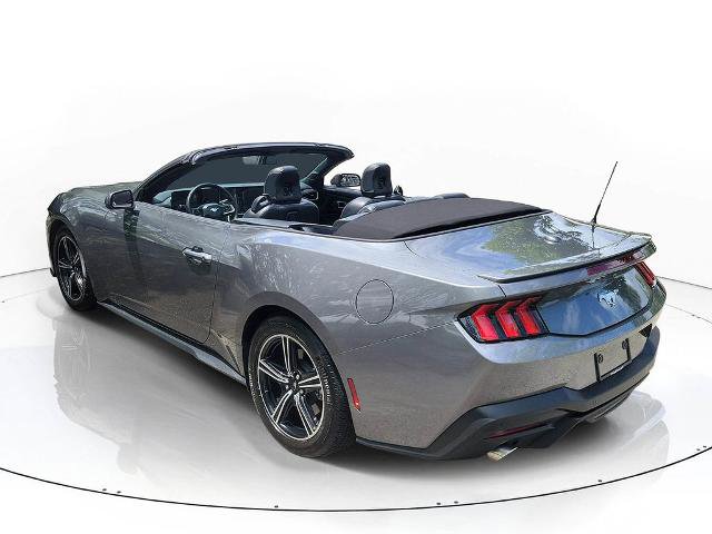 Certified 2025 Ford Mustang Premium image 3