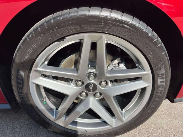 Certified 2024 Ford Mustang Premium RWD image 11
