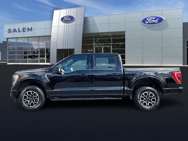 Certified 2023 Ford F150 XLT w/ Equipment Group 302A High AWD/4WD image 5