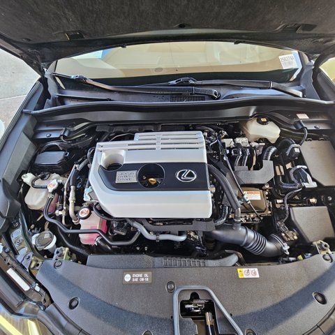 Used 2020 Lexus UX 250h w/ Premium Package image 11