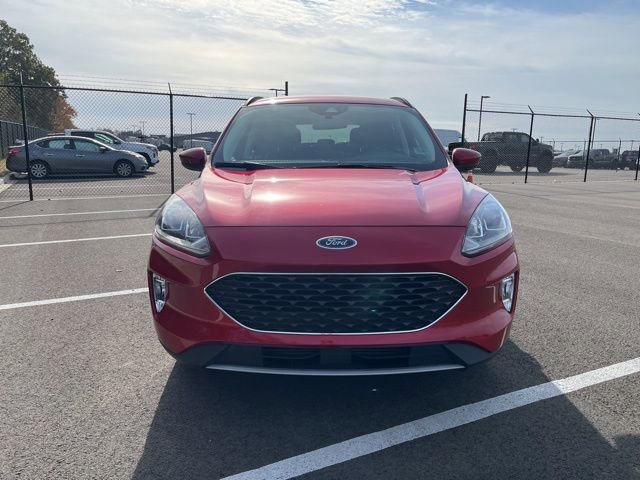 Certified 2022 Ford Escape SEL image 7