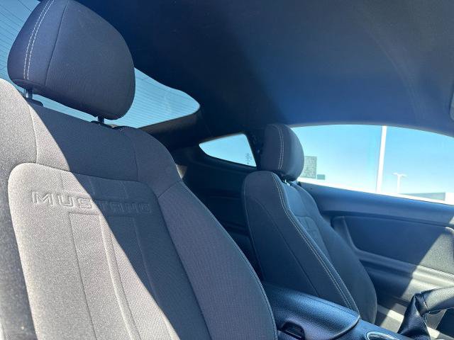 Certified 2022 Ford Mustang GT w/ Equipment Group 301A RWD image 14