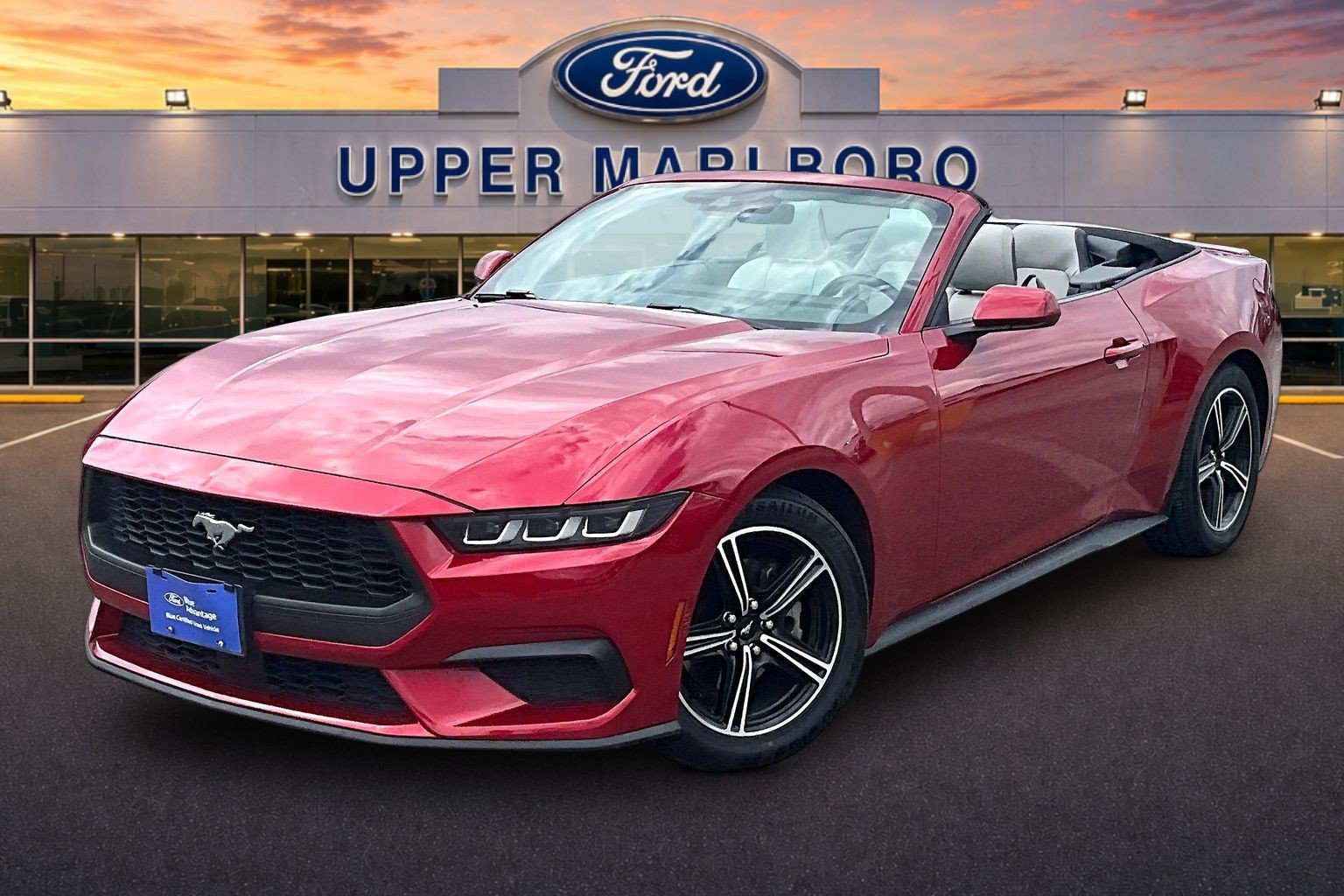 Certified 2024 Ford Mustang Premium RWD image 12