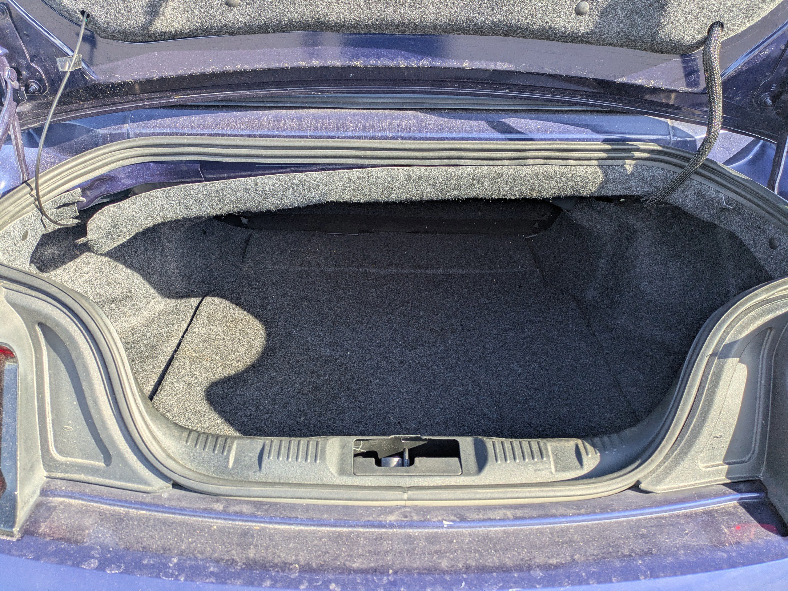 Certified 2019 Ford Mustang Premium image 9