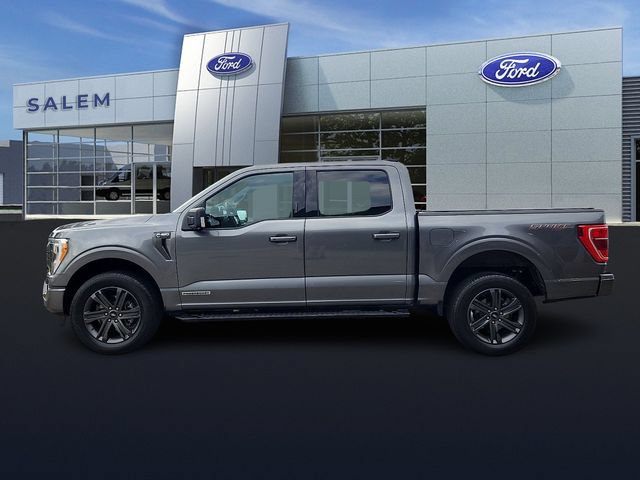 Certified 2023 Ford F150 XLT w/ Equipment Group 302A High AWD/4WD image 5