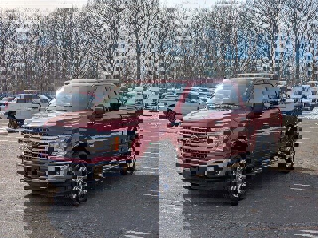 Certified 2019 Ford F150 XLT w/ Equipment Group 302A Luxury image 1