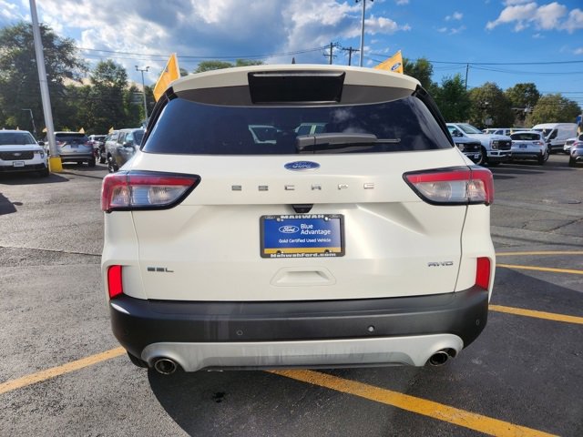 Certified 2022 Ford Escape SEL image 5