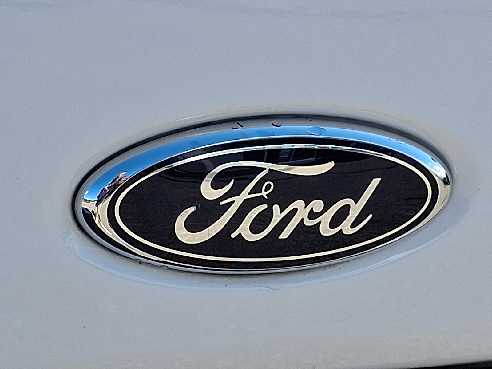 Certified 2025 Ford Transit 250 Low Roof w/ Exterior Upgrade Package RWD image 28
