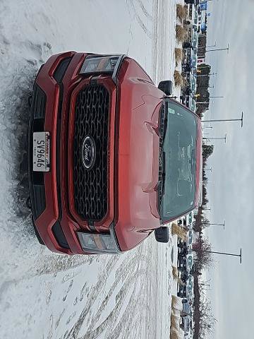 Certified 2023 Ford F150 XL w/ STX Appearance Package image 14