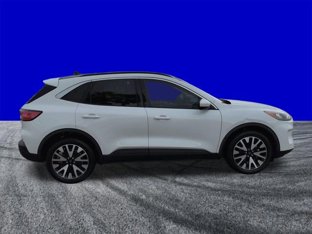 Certified 2020 Ford Escape SEL image 6