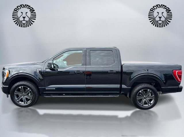 Certified 2023 Ford F150 XLT w/ Equipment Group 302A High AWD/4WD image 11