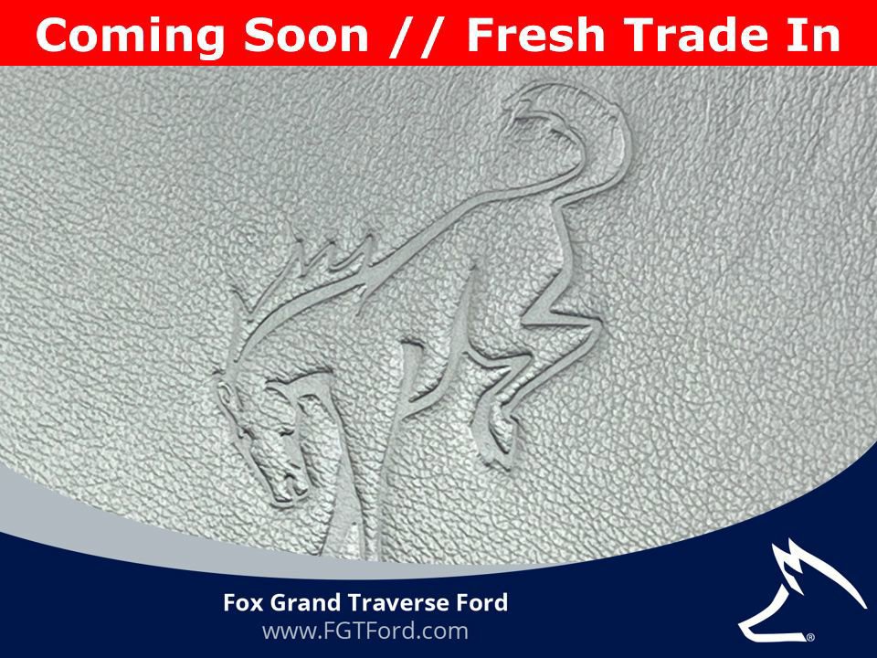 Certified 2023 Ford Bronco Badlands AWD/4WD image 19