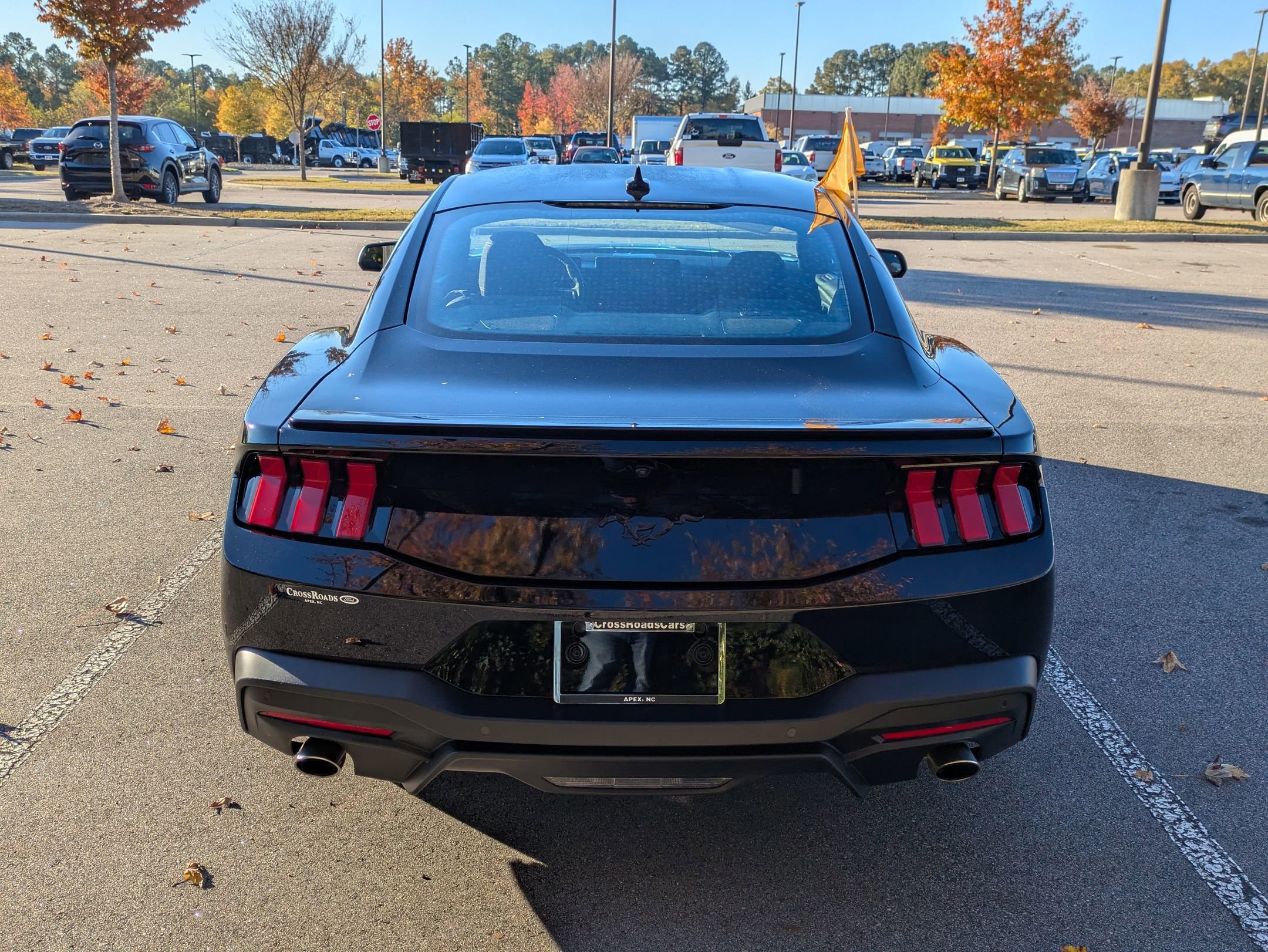 Certified 2025 Ford Mustang Coupe w/ Mustang Nite Pony Package image 5