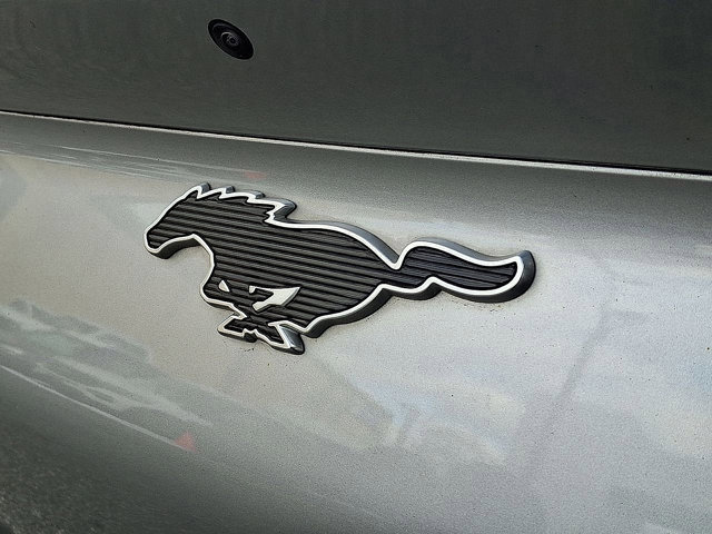 Certified 2021 Ford Mustang Mach-E Premium image 27