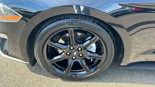 Certified 2019 Ford Mustang Coupe image 6