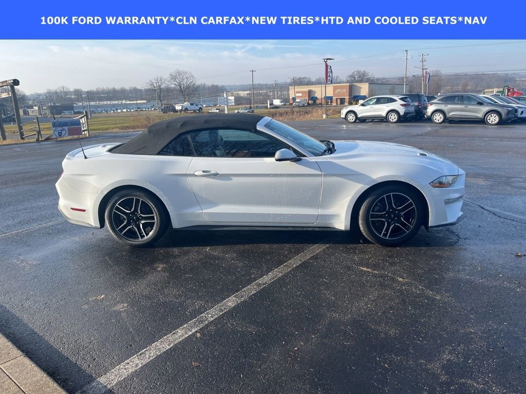 Certified 2022 Ford Mustang Premium w/ Equipment Group 201A image 11