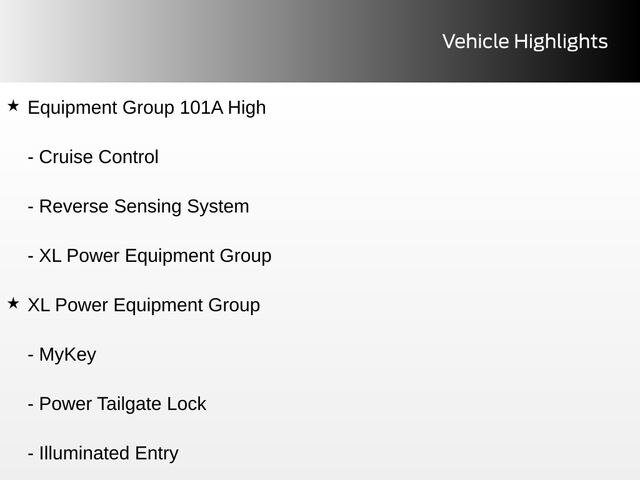 Certified 2021 Ford F150 XL w/ Equipment Group 101A High RWD image 9