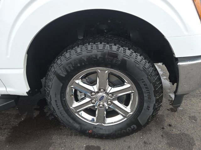 Certified 2025 Ford F150 XLT w/ Equipment Group 301A Standard image 8