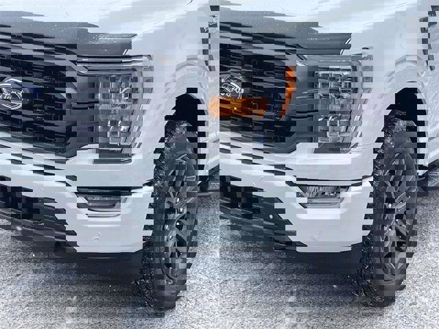 Certified 2023 Ford F150 XLT w/ Equipment Group 302A High image 8