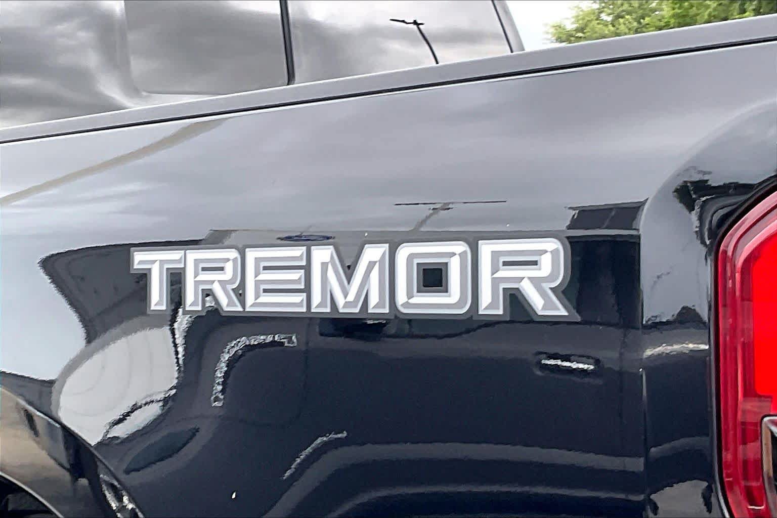Certified 2025 Ford F250 Platinum w/ Tremor Off-Road Package AWD/4WD image 10