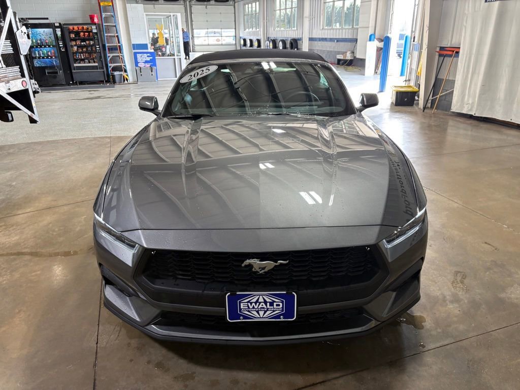 Certified 2025 Ford Mustang Premium RWD image 3