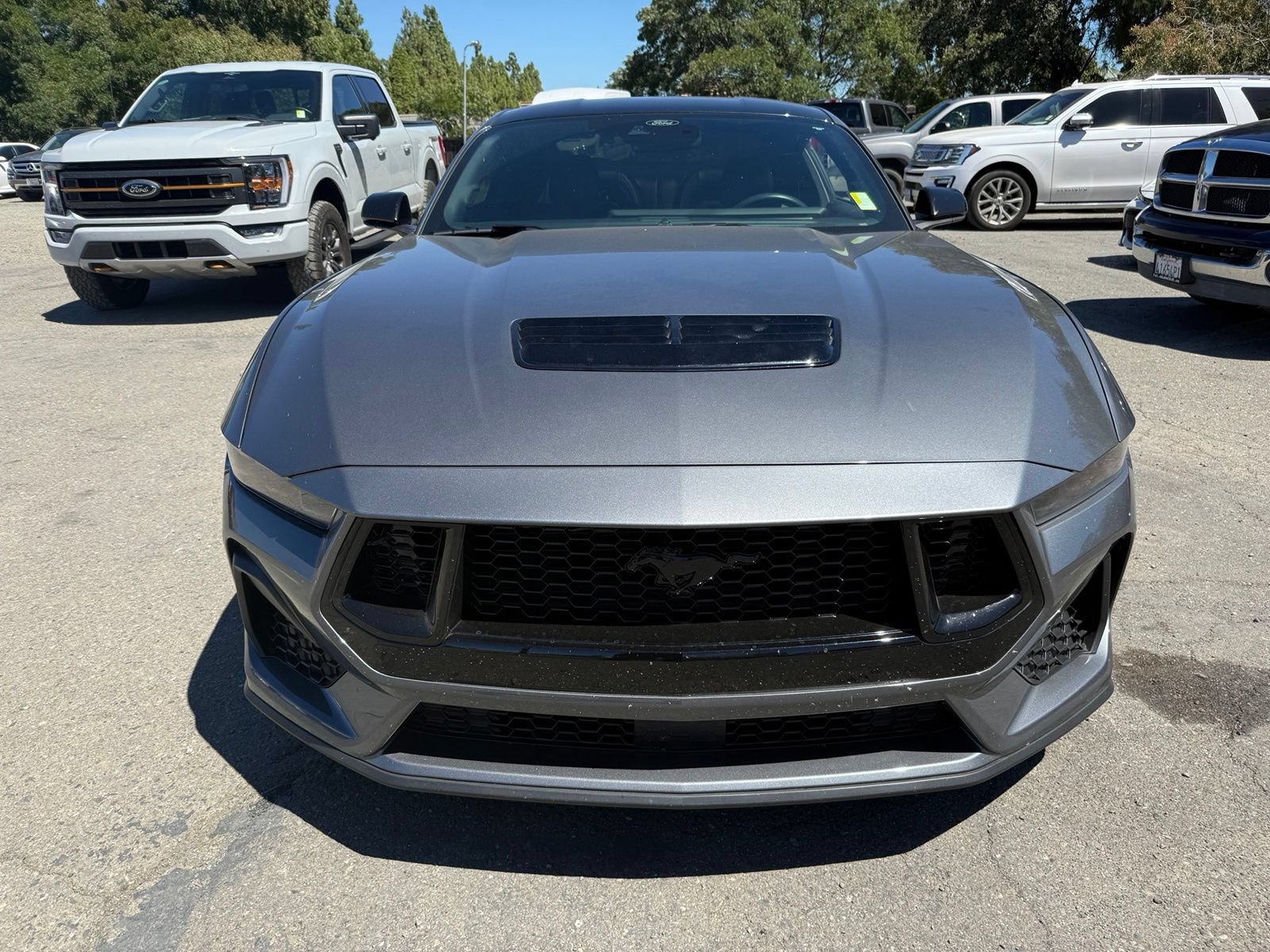 Certified 2025 Ford Mustang GT Premium w/ Mustang Nite Pony Package RWD image 8