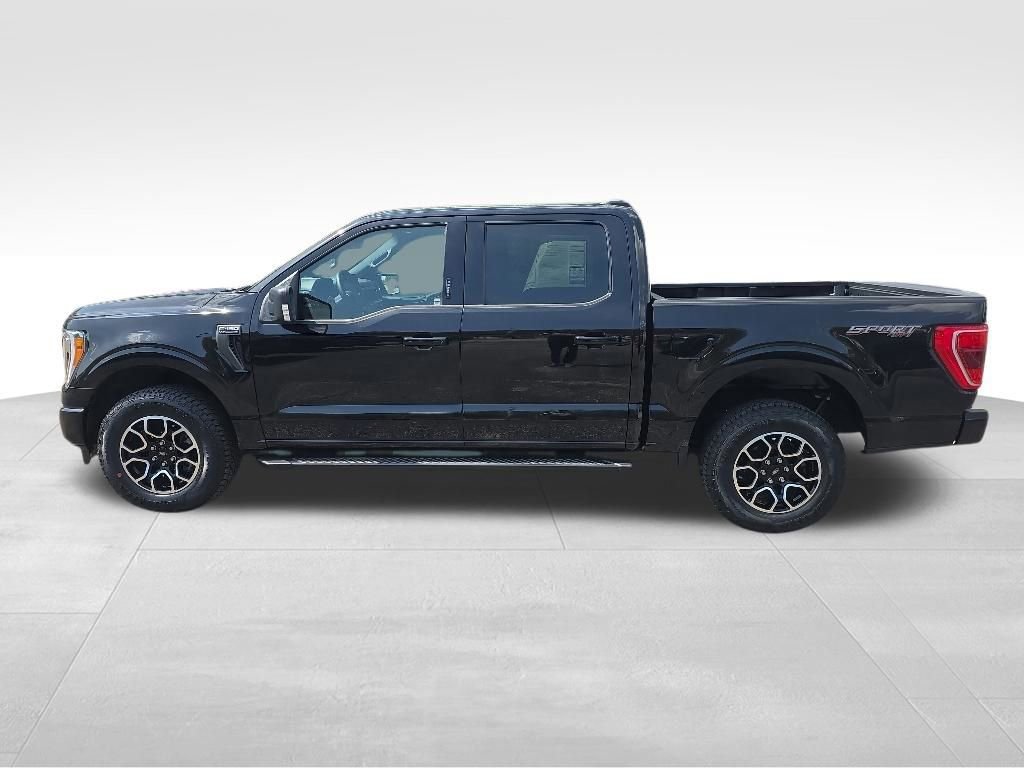 Certified 2023 Ford F150 XLT w/ Equipment Group 302A High AWD/4WD image 6