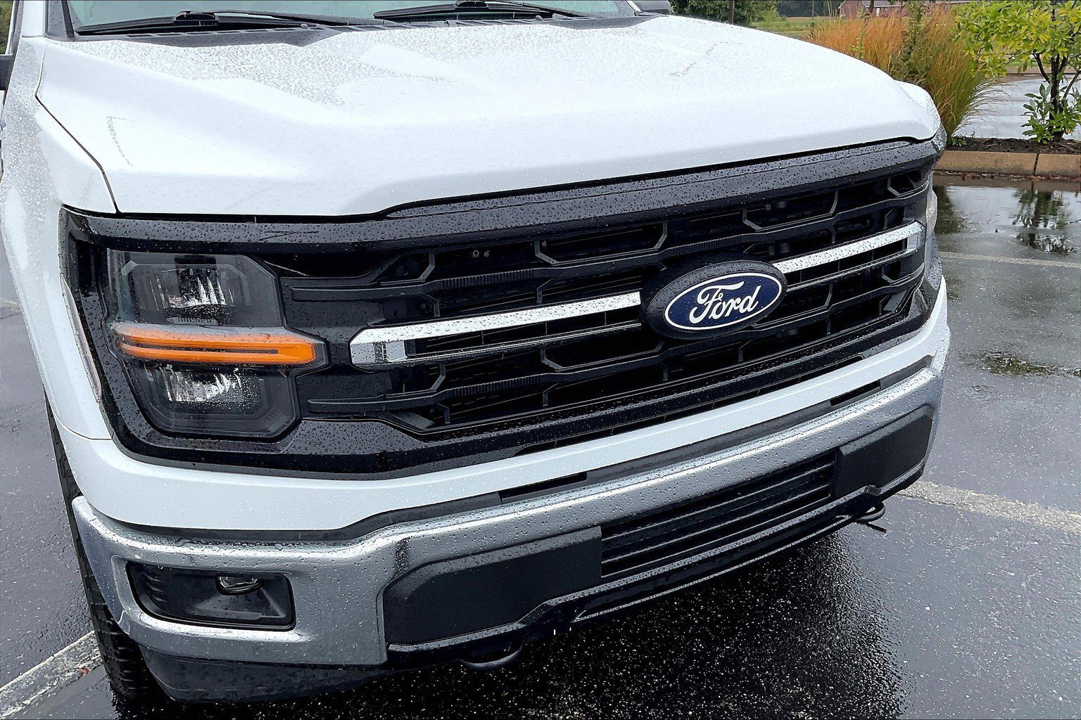 Certified 2025 Ford F150 XLT w/ Equipment Group 301A Standard image 29