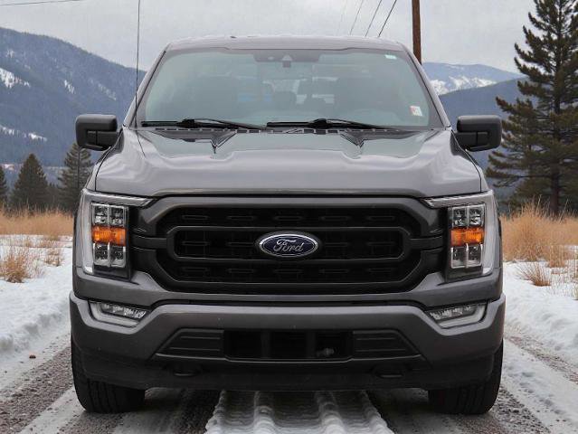 Certified 2021 Ford F150 XLT w/ Equipment Group 302A High image 9