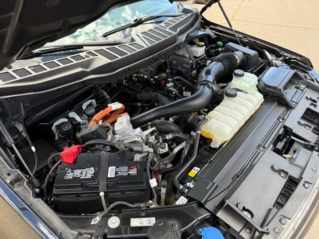 Certified 2024 Ford F150 XLT w/ FX4 Off-Road Package AWD/4WD image 42