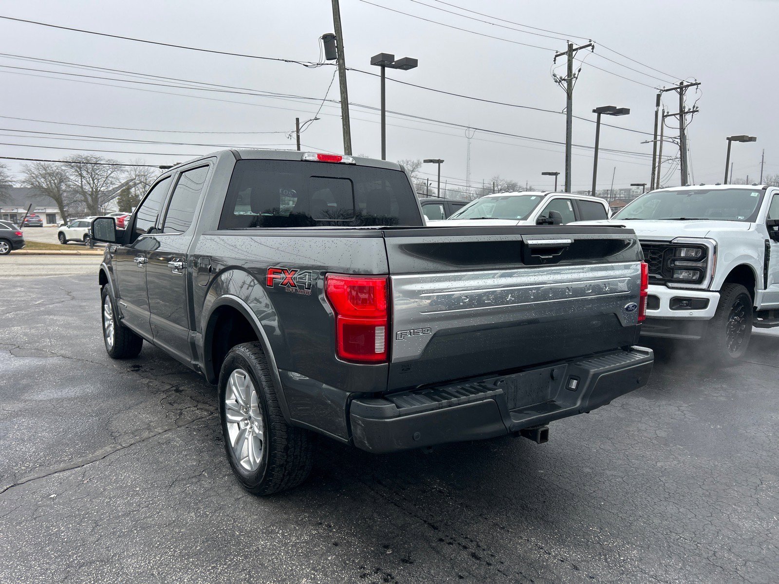 Certified 2019 Ford F150 Platinum w/ Equipment Group 701A Luxury image 12