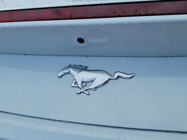 Certified 2026 Ford Mustang Premium image 5