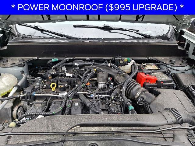 Certified 2022 Ford Maverick XLT w/ Equipment Group 300A Standard AWD/4WD image 26