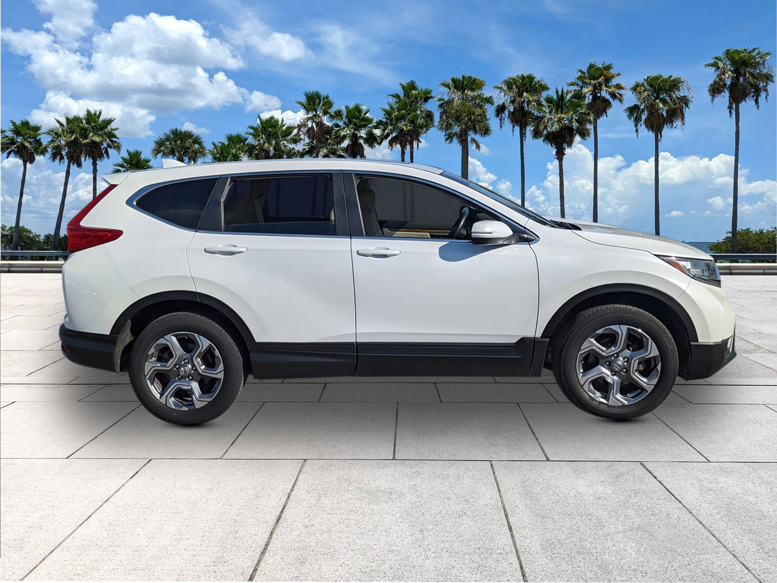 Used 2019 Honda CR-V EX-L image 8
