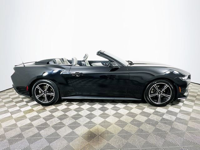 Certified 2024 Ford Mustang Premium image 2