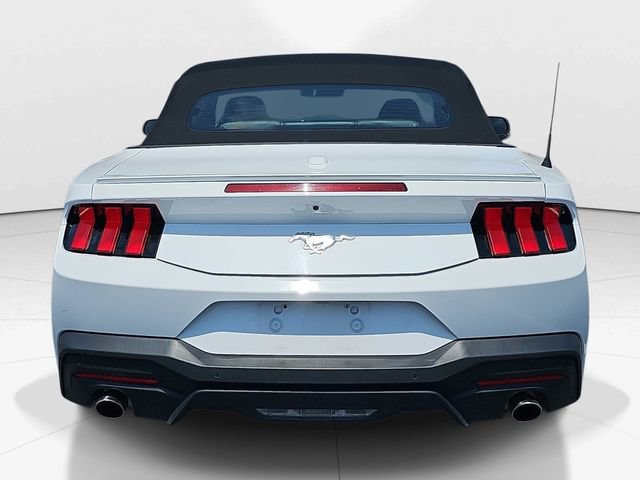 Certified 2024 Ford Mustang Premium RWD image 4