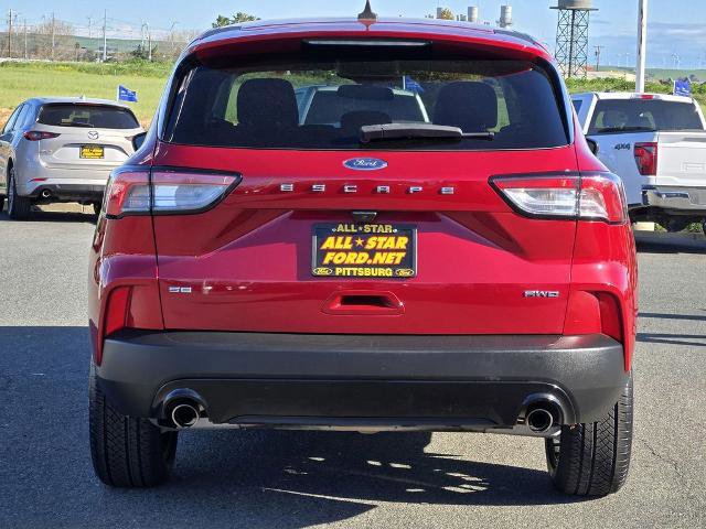 Certified 2022 Ford Escape SE w/ SE Sport Appearance Package image 4