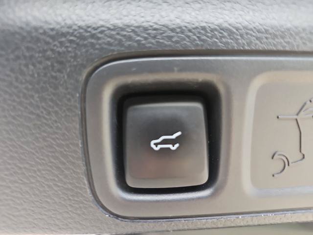 Certified 2024 Ford Expedition XLT AWD/4WD image 13