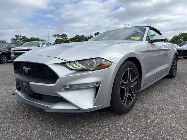 Certified 2019 Ford Mustang Premium RWD image 6