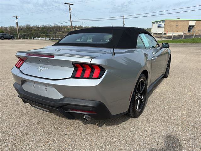 Certified 2024 Ford Mustang Premium image 5