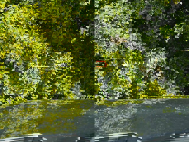 Certified 2023 Ford F350 Platinum image 9