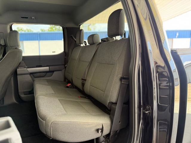 Certified 2025 Ford F150 XLT w/ Equipment Group 301A Standard RWD image 8