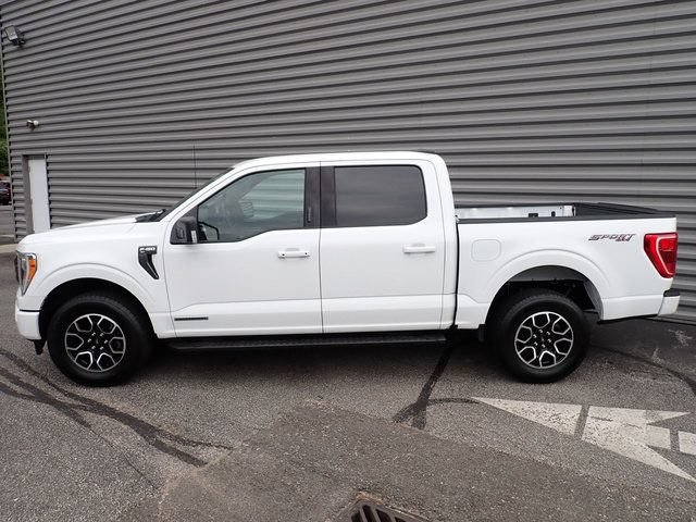 Certified 2023 Ford F150 XLT w/ Equipment Group 302A High AWD/4WD image 2