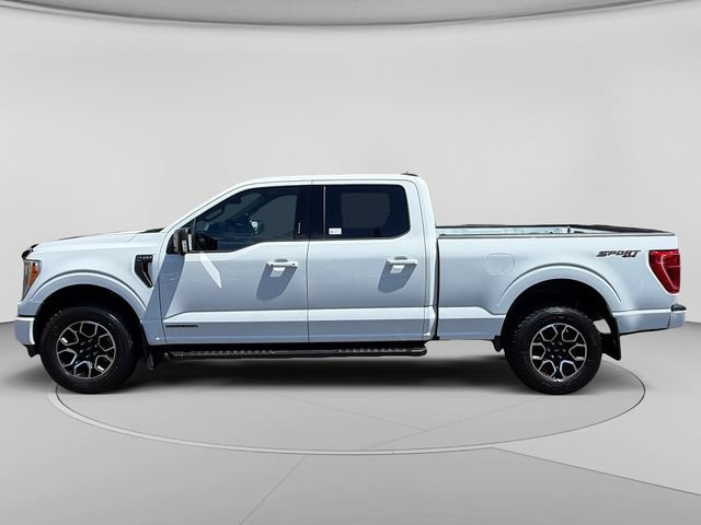 Certified 2023 Ford F150 XLT w/ Equipment Group 302A High AWD/4WD image 2