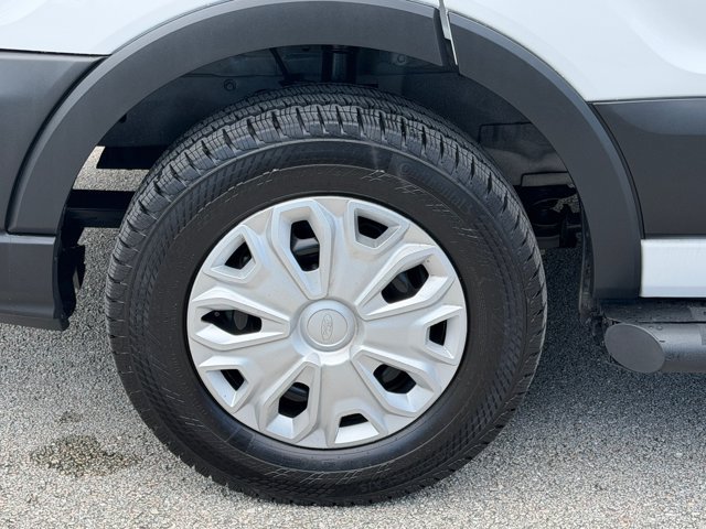 Certified 2025 Ford Transit 250 Low Roof w/ Exterior Upgrade Package RWD image 17