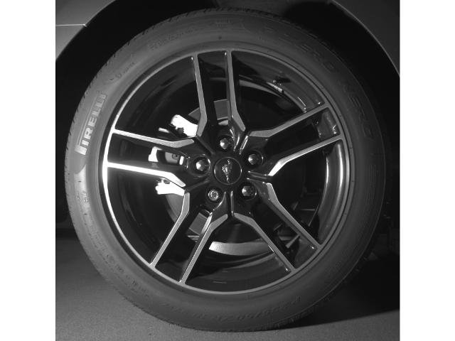 Certified 2019 Ford Mustang GT Premium w/ Equipment Group 401A RWD image 15